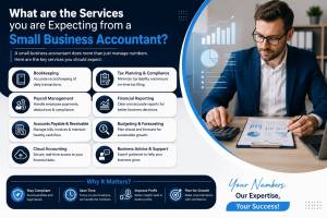 What are the Expectations from the Small Business Accountant Services in the UK