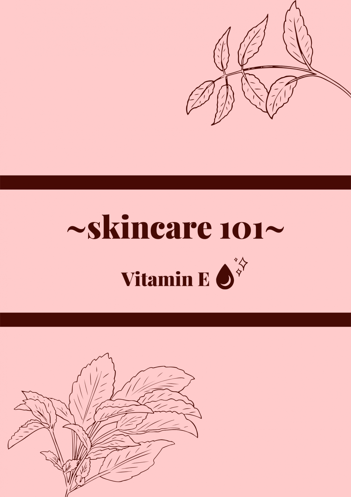 A complete guide to using Vitamin E for your skin REVIEWS The Body
