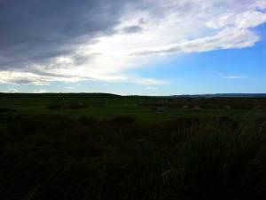 Thank to life for the opportunity to be more free and a happier person!