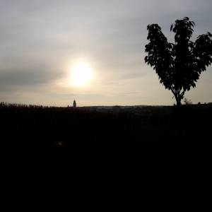 Carpe Diem! or Blogger of the year 2016