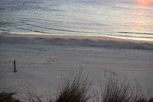 EXPLORE WITH ME | SYLT