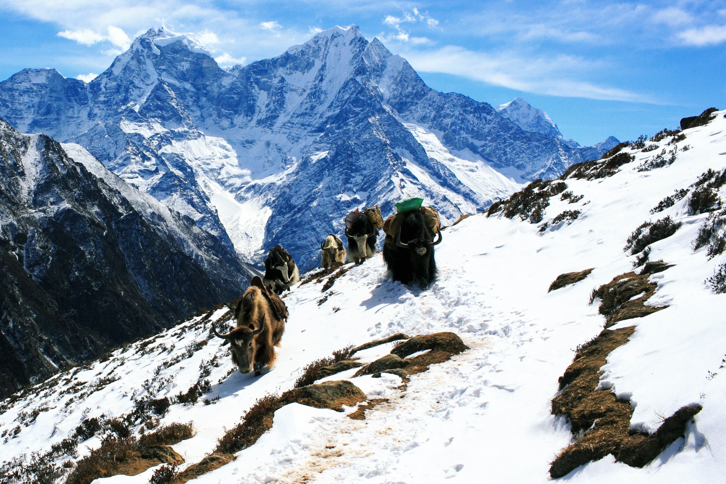 Discover the Incredible Beauty and Challenge of Mera Peak Climbing