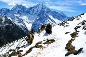 Discover the Incredible Beauty and Challenge of Mera Peak Climbing