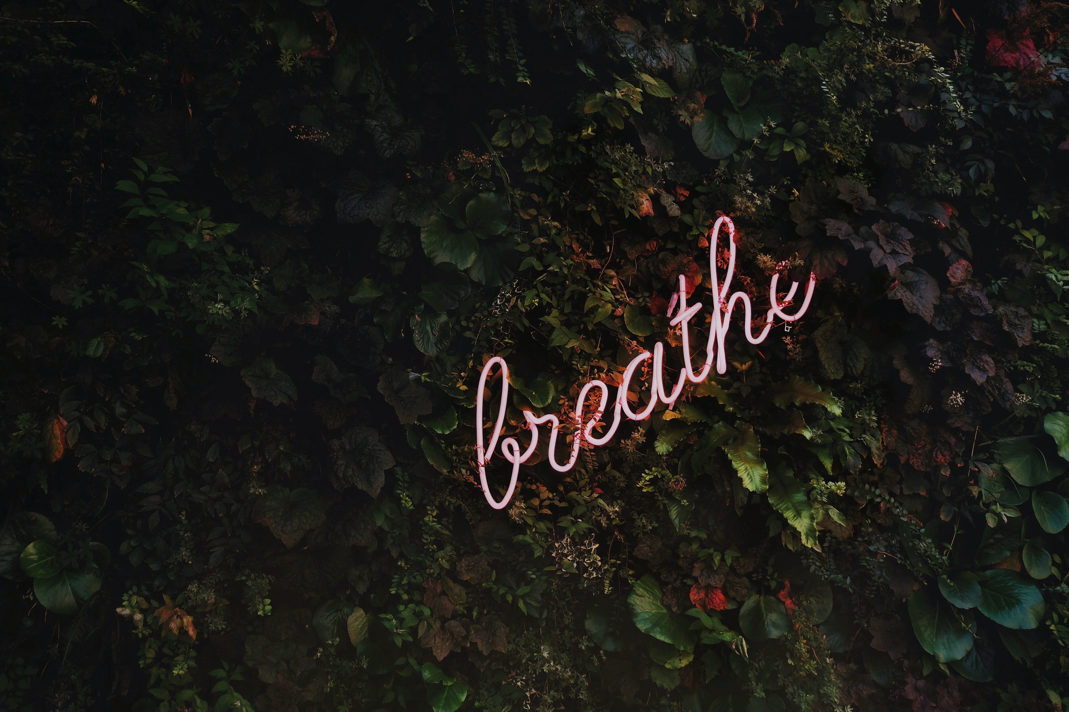 15 Days Of Self-Care To Start The Year Right 15 Days Of Self-Care To Start The Year Right