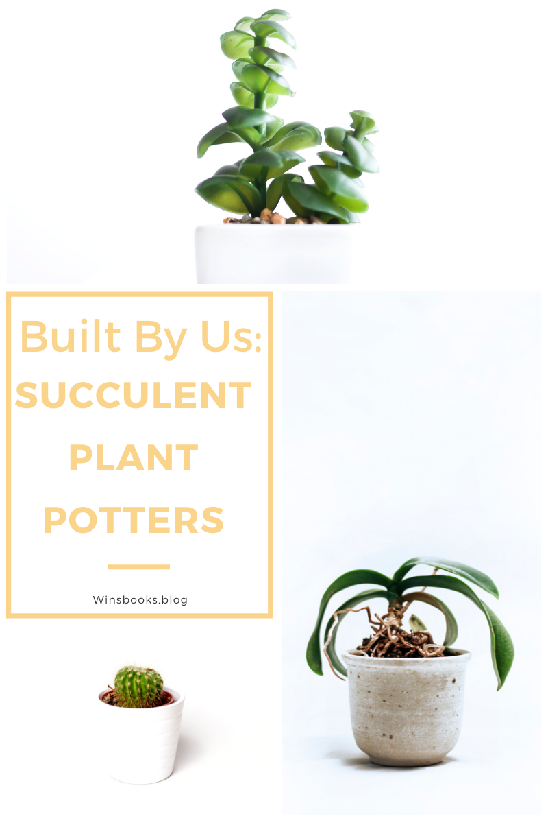built-by-us-succulent-plant-potters-tutorials-sand-gloves-plants