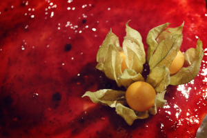 The Best Lightweight Strawberry Cheesecake You'll Ever Try