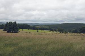 A Detox Trip to Belgium