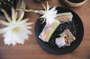 Teriyaki Spring Rolls