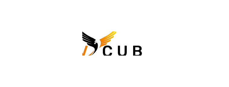 Vcube Academy