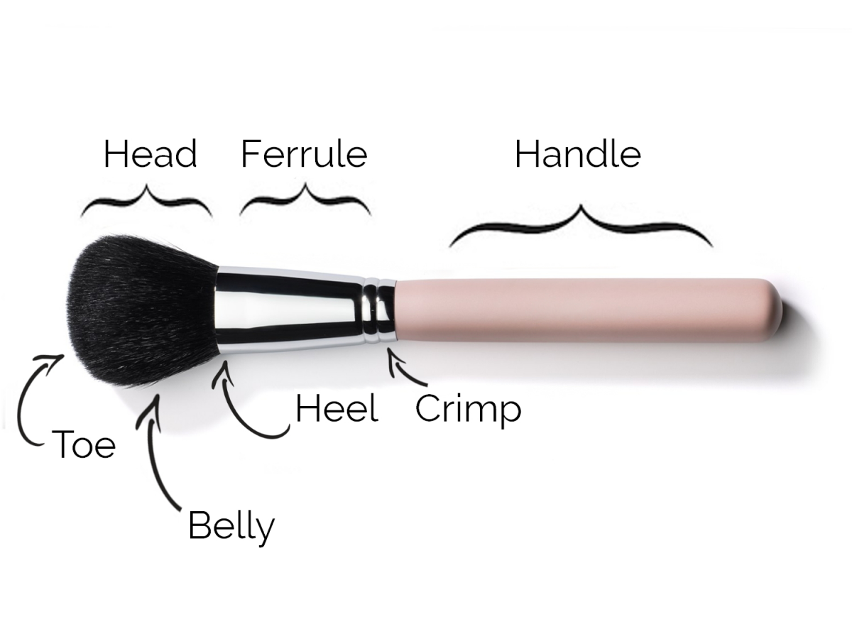 MAKEUP BRUSH ANATOMY & HOW IT'S MADE MAKEUP THEORY LIFESTYLE